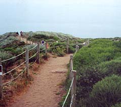 The sand ladder