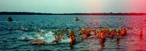 The mass swim start